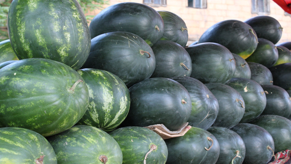 امانة عمان تبدا باستقبال طلبات تصاريح بيع البطيخ والشمام