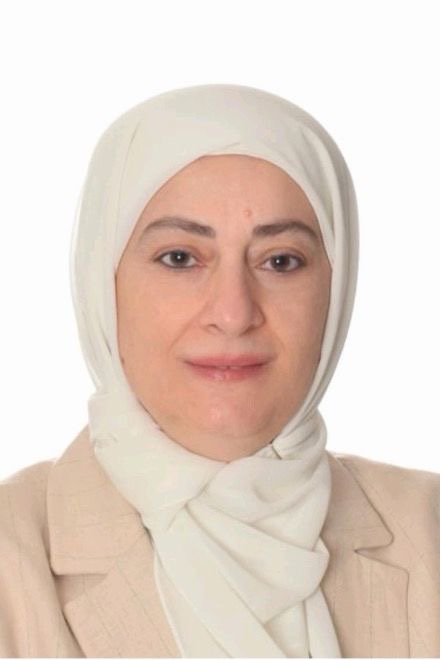 الحوكمة القانونية لمنصات تسوية المنازعات  الإلكترونية: هل نحن مستعدون تشريعياً؟