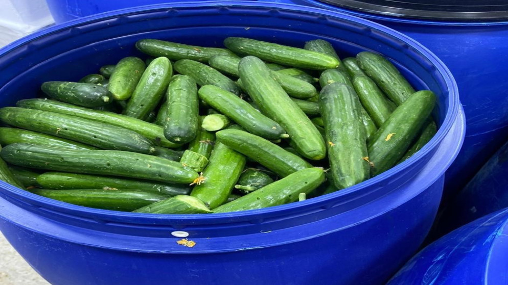 الغذاء والدواء تغلق مشغل مخللات غير مرخص بالزرقاء