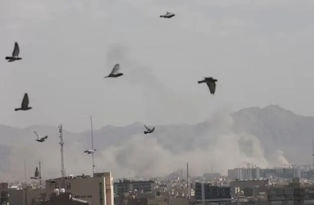 التعاون الاقتصادي: تقييم اثر الحرب على النمو العالمي مبكر