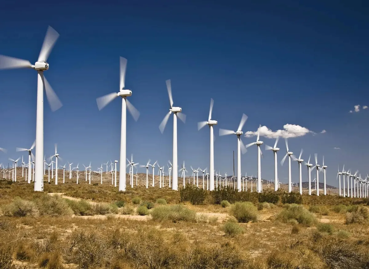 واشنطن تدرس تسوية بمليار دولار مع توتال بسبب مزارع الرياح