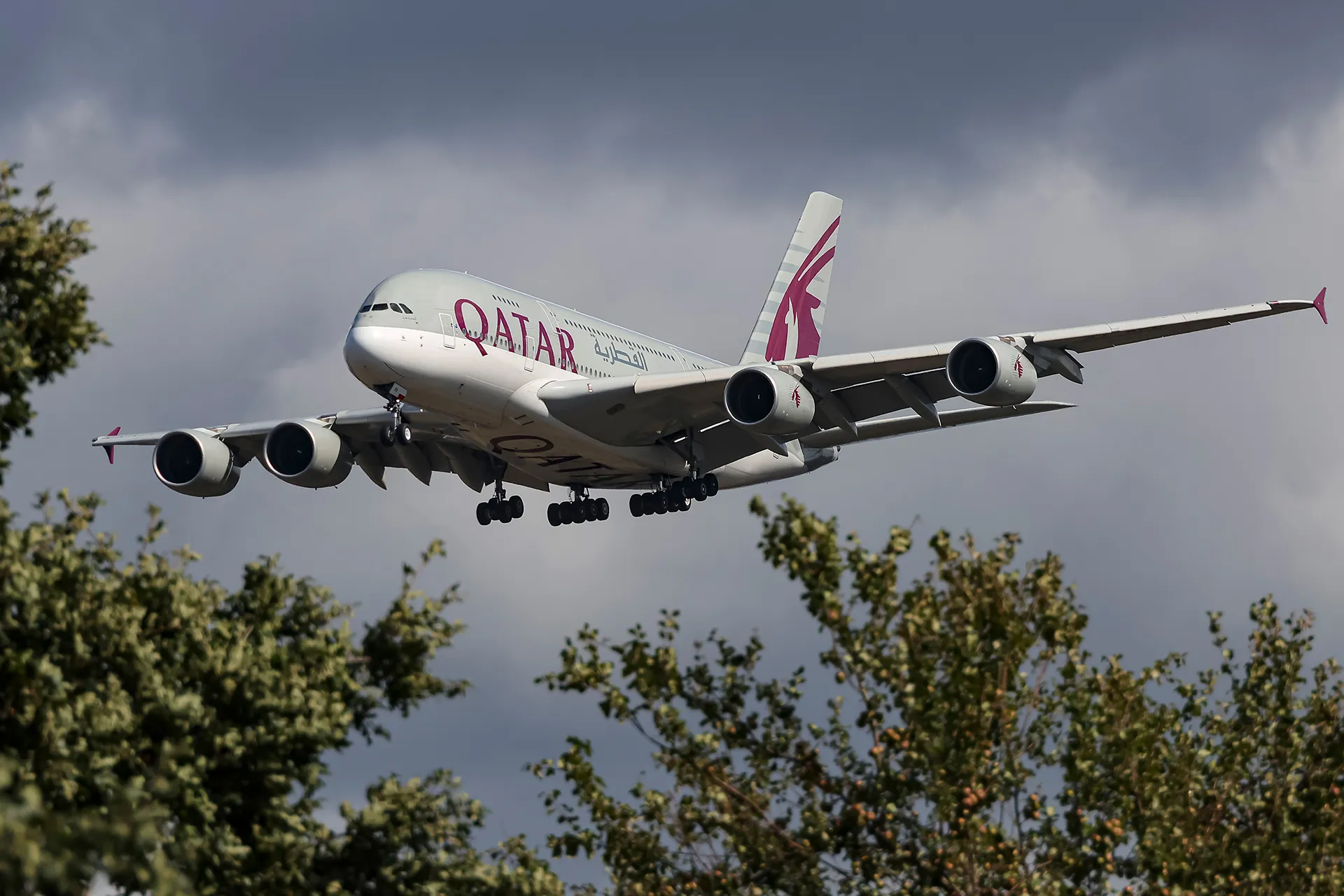 الخطوط القطرية تسجل ارتفاعا ملحوظا في عدد الرحلات الجوية