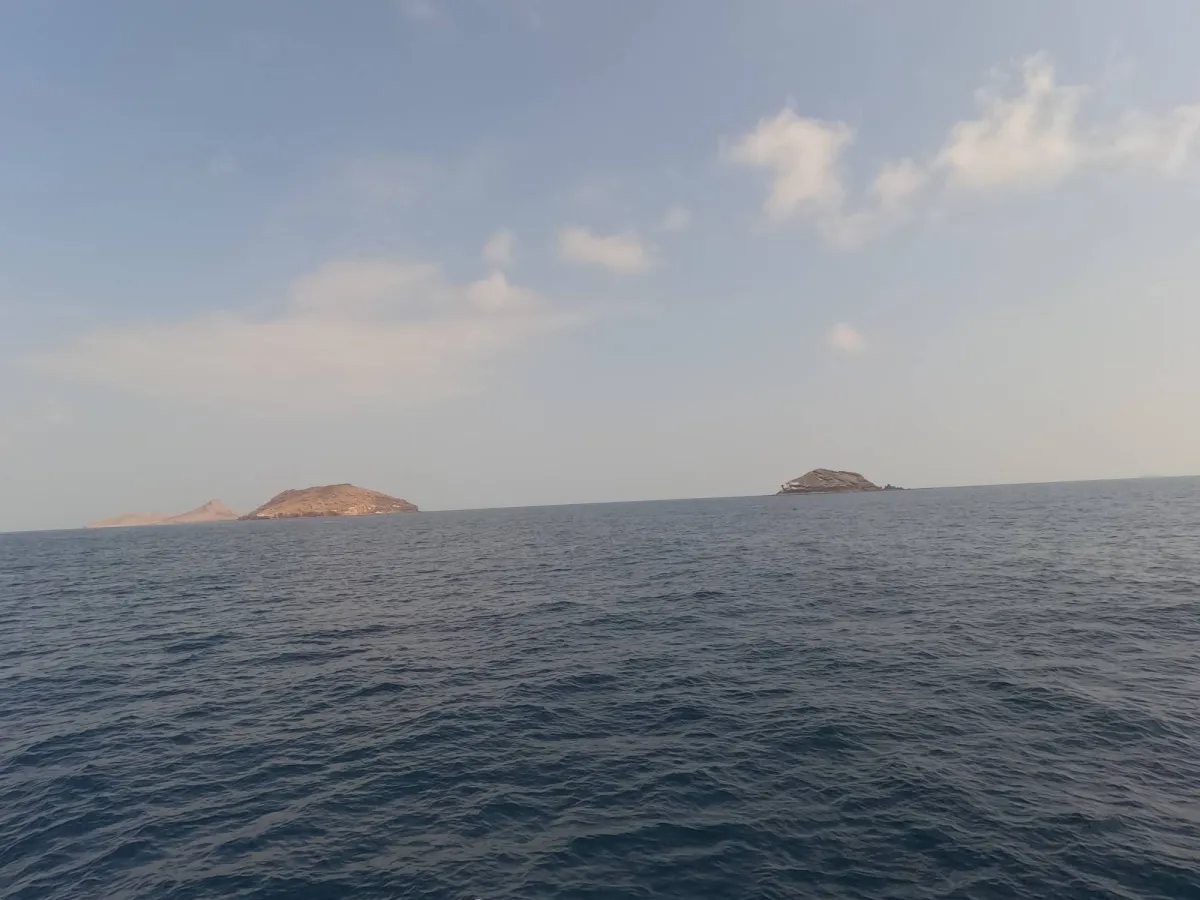 غموض طائرة ميون اليمنية ونفي محاولة انزال