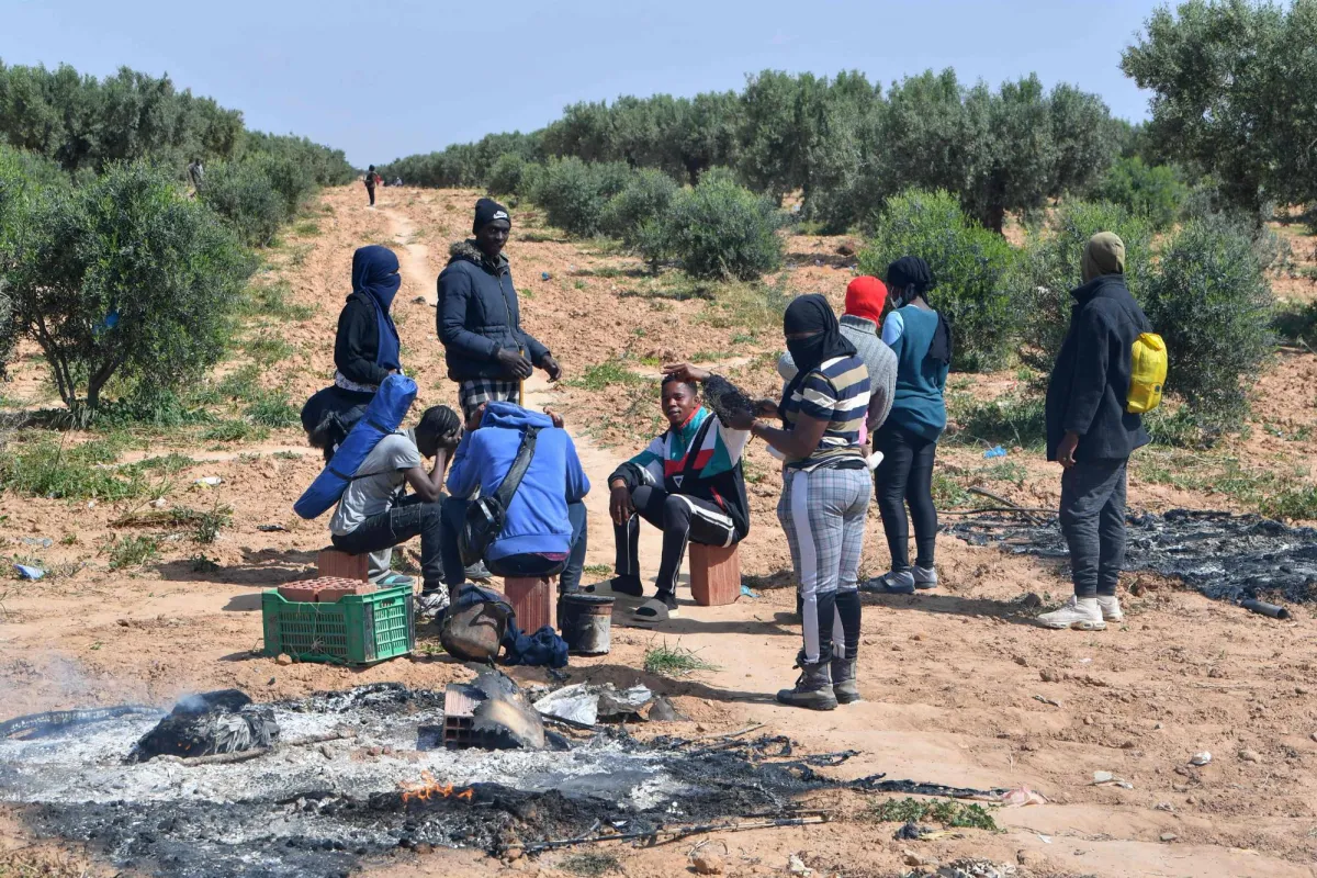 نائب تونسي تصريحات حول المهاجرات الافريقيات تثير جدلا