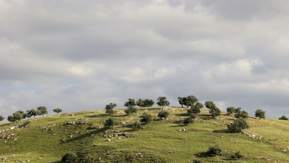 ارتفاع طفيف بالحرارة وامطار متوقعة في مناطق بالمملكة