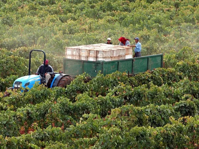 المغرب يتوقع نموا اقتصاديا بنسبة 4.7 بالمئة