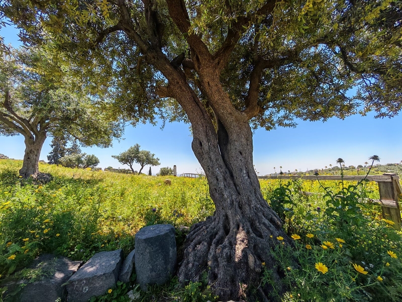 هؤلاء تمنوا لك عطلة نهاية أسبوع ممتعة وآمنة