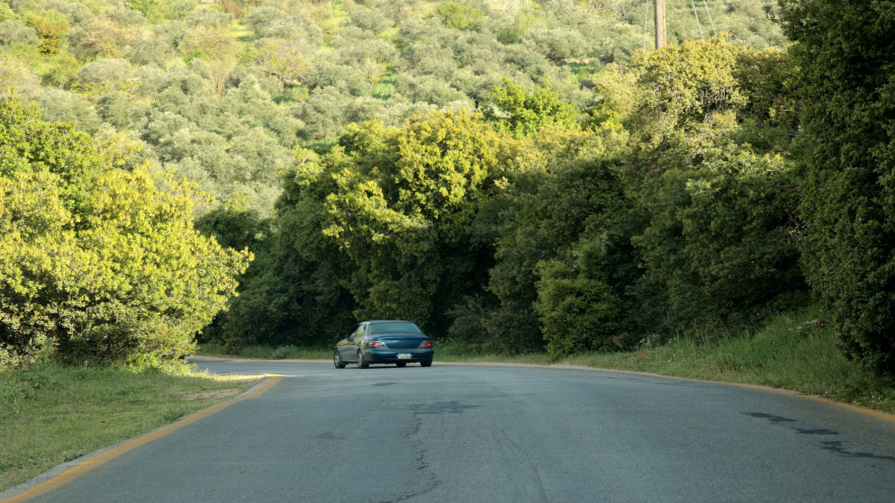 اجواء دافئة وانخفاض الحرارة المتوقع بداية الاسبوع