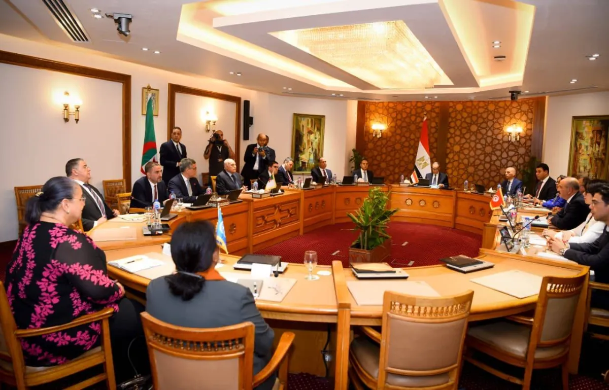 وزراء دول الجوار يرفضون التدخل الخارجي في ليبيا