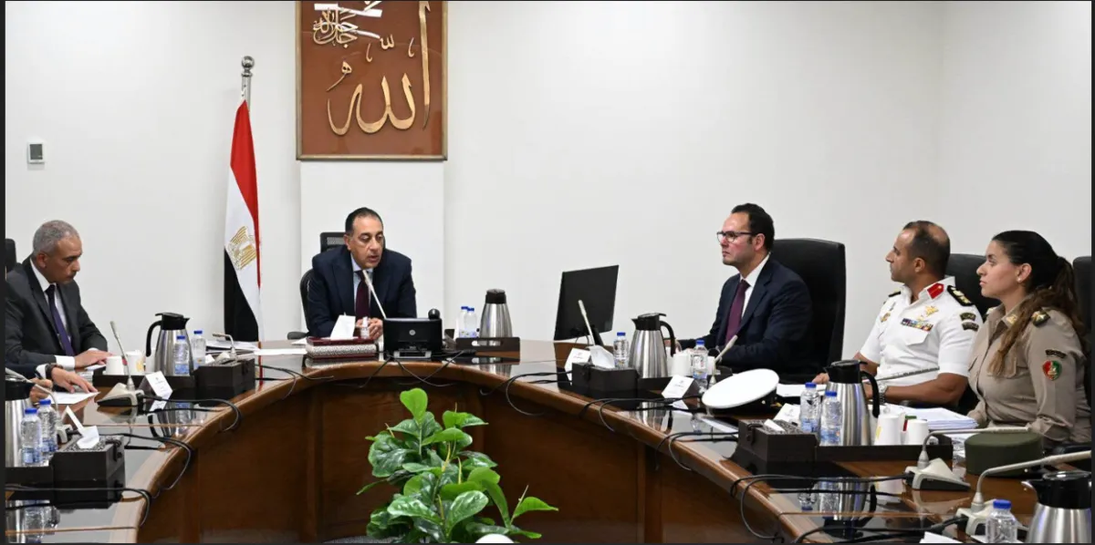 مصر تتحرك نحو مقاربة متوازنة لمواجهة ظاهرة الكلاب الضالة