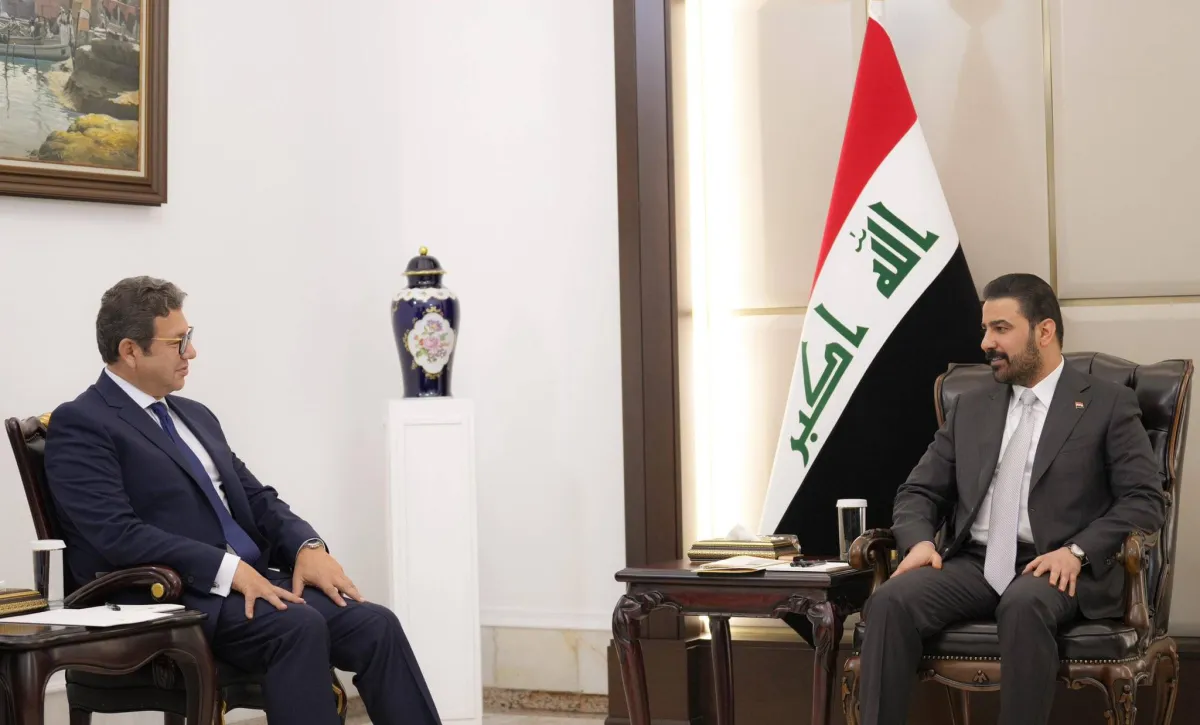 مصر والعراق يعززان التنسيق الامني والاقتصادي لمواجهة توترات المنطقة