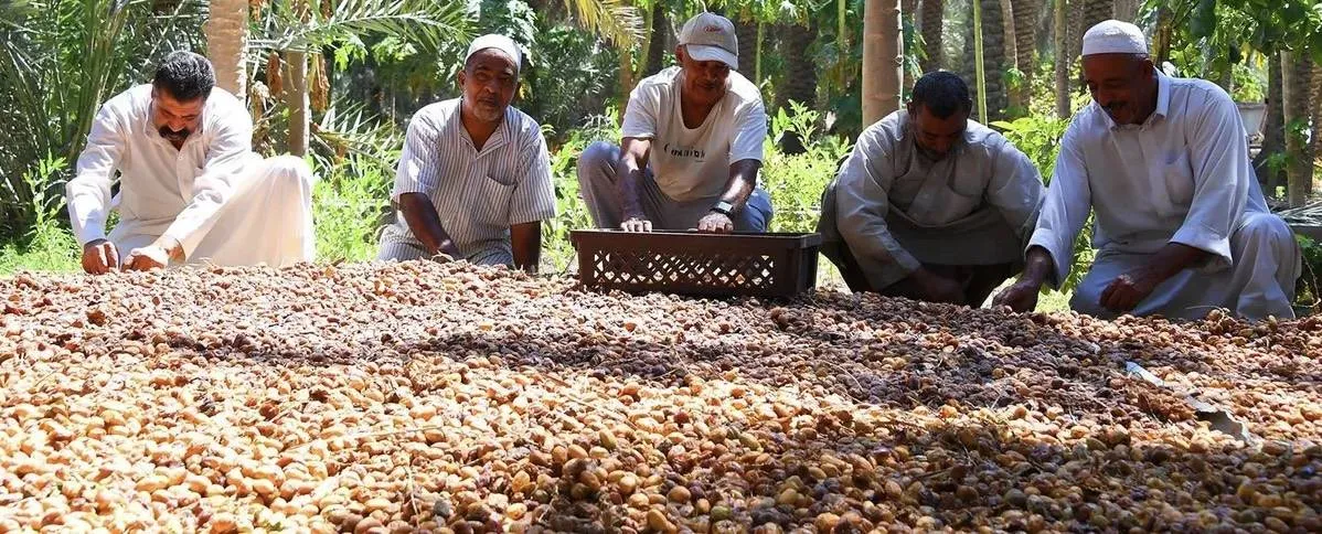 السعودية تضخ 798 مليون دولار لتعزيز الامن الغذائي واستقرار سلاسل الامداد