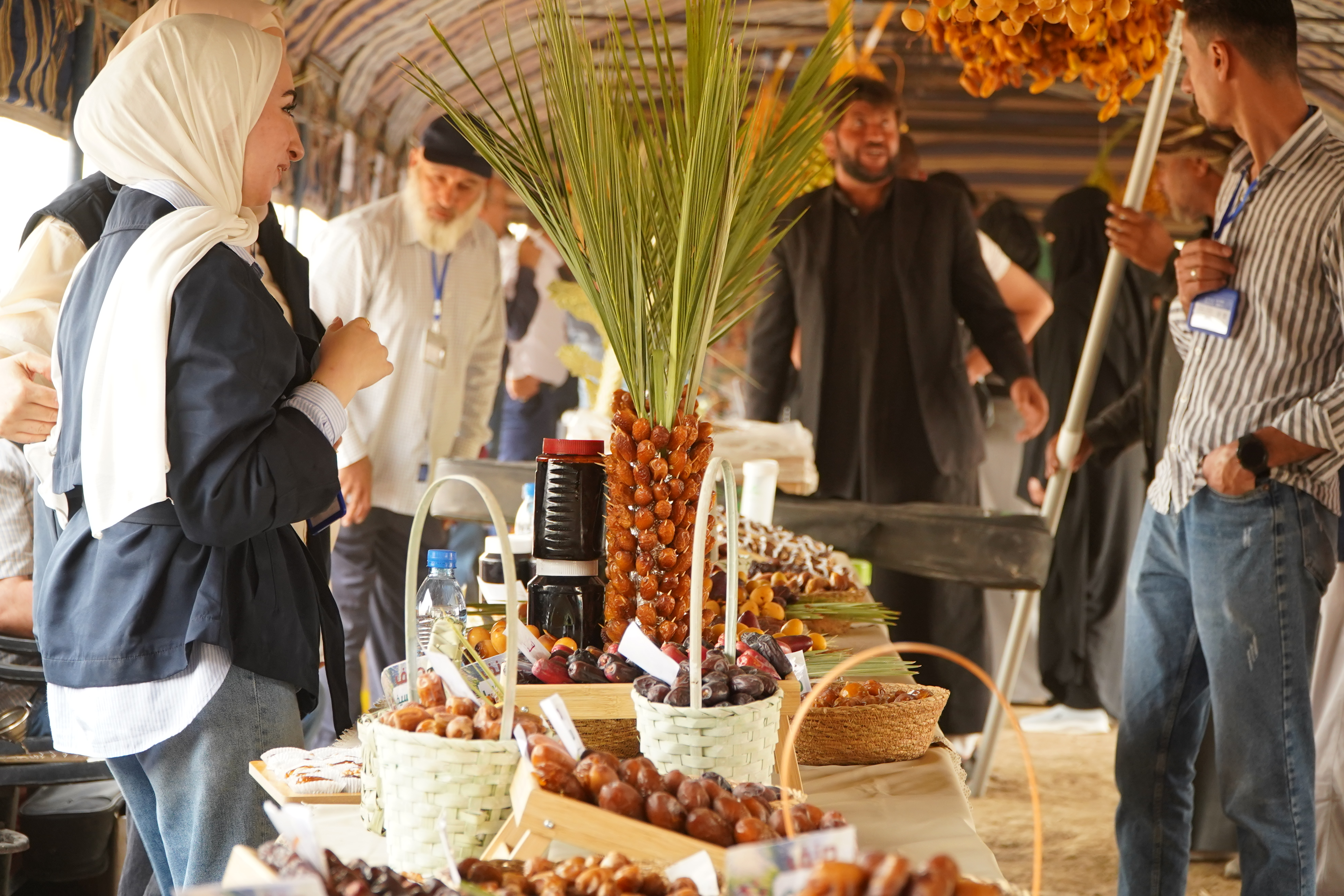 دعم زراعة النخيل وانتاج التمور في دير الزور